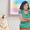 Honden laten stoppen met janken