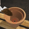 Kweek jasmyn in 'n pot