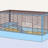Je cavia help jou lang lewe