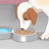 Je hond behandel