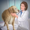 Je hond help as ze bevallen is