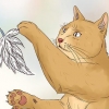 Je kat by je laat slapen