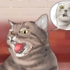 Je kat laat stop met blazen