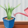 Water jou plante wanneer jy nie by die huis is nie