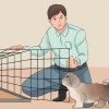 Je shih tzu-opleiding