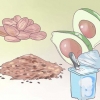 Behandeling van kakebeenkrampe: kan dit natuurlik gedoen word?