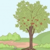 Plant kersiepitte
