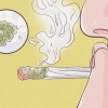 Kief gebruik