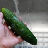 Komkommerwater maak