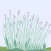 Snoei laventel