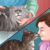 Muizenvallijm van 'n kattenpootje verwyder
