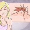 Onderskei tussen malaria, dengue en chikungunya