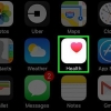 Kyk hoeveel myl jy op 'n iphone gestap het