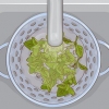 Oregano gebruik in die kombuis