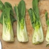 Paksoi berei