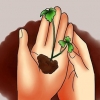 Oes pietersielie