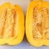 Pompoenpitten drogen