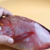 Red snapper voorberei
