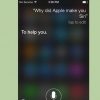 Laat siri snaakse dinge sê