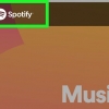 Gebruik spotify