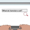 Toestemming kry van je ouders om 'n hamster te hou