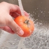 Tomaten snyden