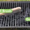 Vis roosteren op 'n braai