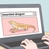 Voor 'n baardagame sorg