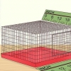 Voor 'n grasparkiet sorg