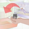 Voor 'n hamster sorg die ziek of stervende is