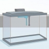 Voor 'n maanvis sorg