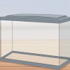 Voor guppy se sorg