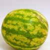 Watermeloenwyn maak