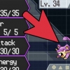 Wen enige pokémon-stryd met 'n vlak 1 rattata