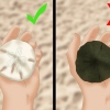 Skoonmaak en bewaring van sand dollars