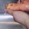 Zoete aardappel berei in die magnetron