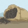 Zonnebloempitten eten