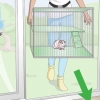 Zorgen dat cavia se warm bly