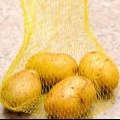 Aardappelpartjes voorberei