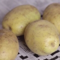 Aardappels pasop
