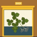 Plant aarbeie