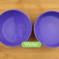 Leer om met waterverfverf te werk as 'n beginner