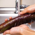 Aubergine berei
