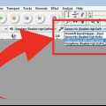 Gebruik audacity