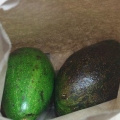 Avokado pasop