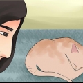 Bepalen of je kat dood is