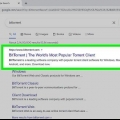 Gebruik bittorrent