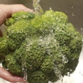 Broccoli berei