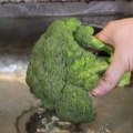 Broccoli-skoonmaak