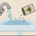 Plant cannabis sade binnenshuis